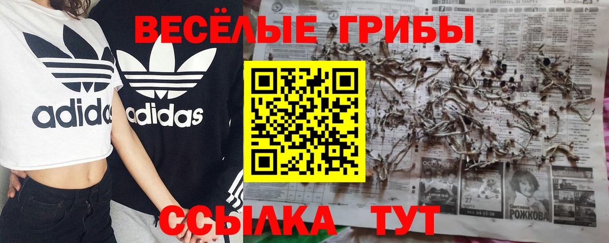 Галлюциногенные грибы Psilocybine cubensis Добрянка